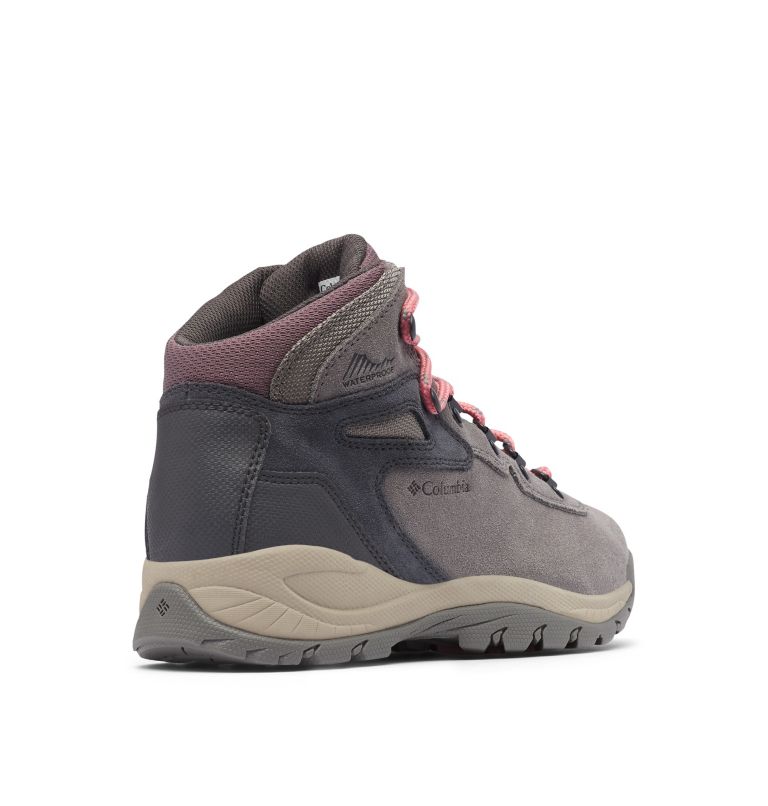 Columbia Newton Ridge™ Plus Waterproof Amped Women's Hiking Boots Rose | QGG7730PC